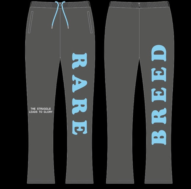 Ash “cloud blue” stacked sweats