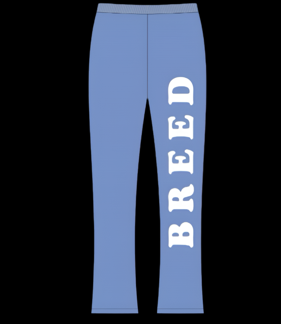 Ash “cotton candy” stacked sweats